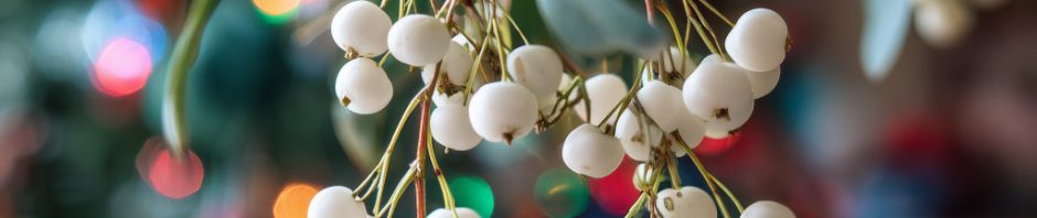 Mistletoe and a Christmas Tree with Coloured Lights